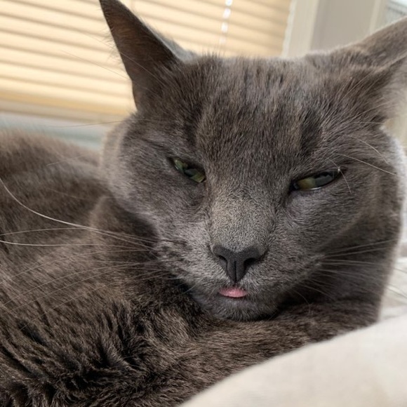 Profile Picture of Kevin Martens (@coffeeblaq) on Poshmark