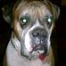 Profile Picture of Greg Scheidler (@greg.scheidler) on Facebook