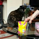 Profile Picture of Michael John Laming (@michaellaming) on Instagram