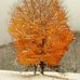 Profile Picture of Sandy Chittenden (@Sandy-Chittenden) on Facebook