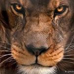 Profile Picture of Carlos Arzate (@carlos.arzate.5030) on Instagram