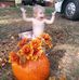 Profile Picture of Mariah Triplett (@Mariah-Triplett) on Facebook