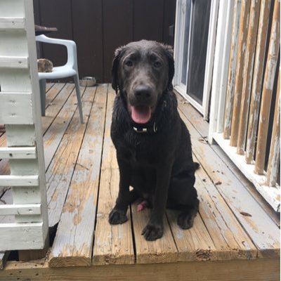 Profile Picture of Joe Wiederholt (@joew311) on Twitter