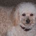 Profile Picture of Dottie Reid (@dottie.reid.5) on Facebook