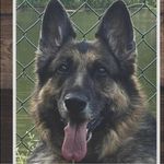 Profile Picture of Ruthy Haggerty Byrnes (@ruthybyrnes) on Instagram