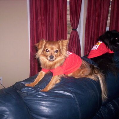 Profile Picture of Larry LaRue`` (@LaRueLarry) on Twitter