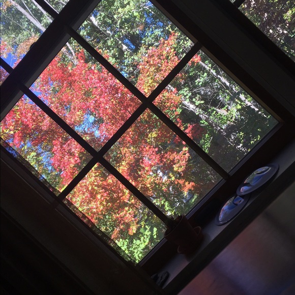 Profile Picture of Alex Van der kar (@alexvan1219) on Poshmark