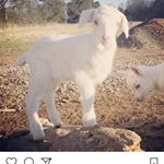 Danny Redmond - Instagram Profile Picture of Danny Redmond (@redmond_dannny) on Instagram