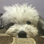 Profile Picture of Toby Perry Téllez Arroyave (@toby_perrytz) on Instagram