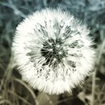 Profile Picture of Jennifer McCarthy (@jennifer.mccarthy.7547) on Instagram
