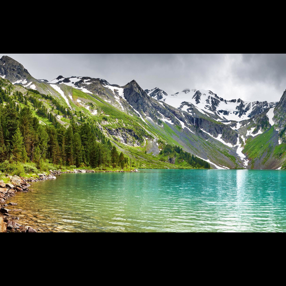 Profile Picture of Allison Day (@245ridge2012) on Poshmark