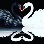 Profile Picture of Bia Swan (@biancaschwanfelder) on Instagram
