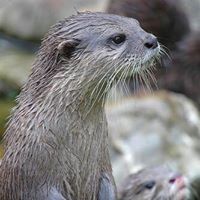 Profile Picture of Fiona Brooking (@fiona-brooking) on Quora