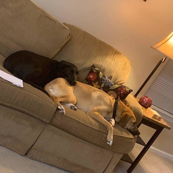 Profile Picture of Diane Peatross (@dpeatross0716) on Poshmark