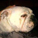 Profile Picture of Vanessa Quinn (@vanessaleaquinn) on Instagram