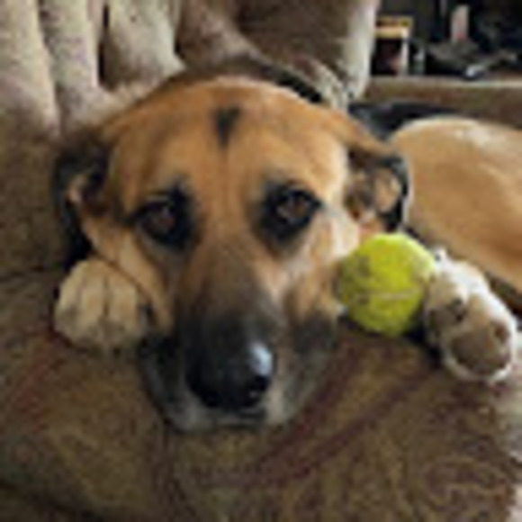 Profile Picture of Jacob Perea (@jakeinf12) on Poshmark