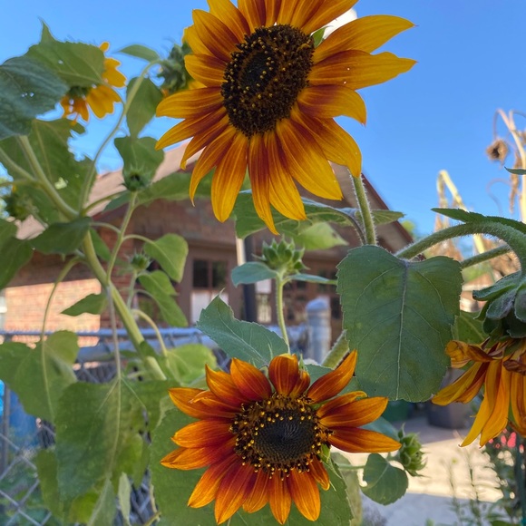 Heather Heggemann - Poshmark Profile Picture of Heather Heggemann (@hheggemann) on Poshmark