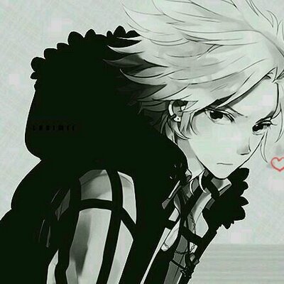 Profile Picture of Jeremy Chang (@jeremychang1995) on Twitter