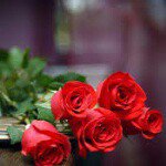 Profile Picture of merrinessassignationa (@merrinessassignationa) on Instagram