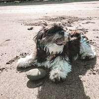 Profile Picture of Josephine Perkins (@josephine-perkins-5) on Quora