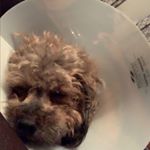 Profile Picture of Khalil hicks (@khalil.hicks) on Instagram