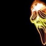 Profile Picture of Danilo Jones (@jones_danilo) on Instagram