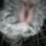 Profile Picture of Naomi Hester (@nommerzs) on Instagram