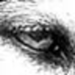 Profile Picture of Patrick Kyle (@patrick kyle) on Flickr