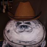 Profile Picture of Ollie Robertson-Jones (@ollier_j) on Instagram