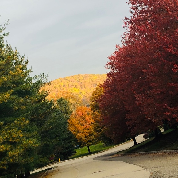 Profile Picture of Nevene Sidawi (@nevene1979) on Poshmark