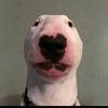 Profile Picture of John (@@johnmcerlean09) on Tiktok