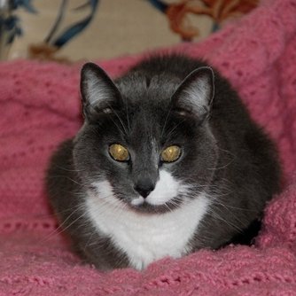 Profile Picture of Roberta Solmundson (@@BilllyToMyBob) on Twitter