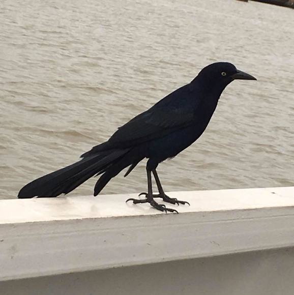 Profile Picture of Scott Day (@tsday44) on Poshmark