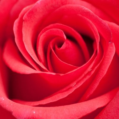 Profile Picture of Joyce Garrett (@Joyce15492) on Twitter