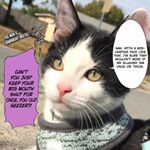 Profile Picture of James Bean{er} (@ubel_kartoffeln) on Instagram