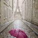 Profile Picture of Sue Fehring (@annesu7) on Pinterest