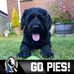 Profile Picture of Matthew Prebble (@matthew.prebble.9) on Facebook