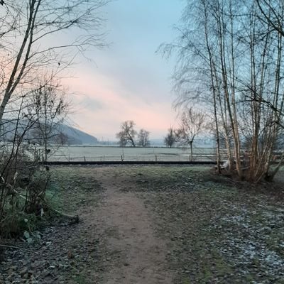 Profile Picture of Peter Vollmer (@PeterVollmer11) on Twitter