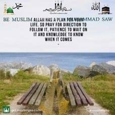Profile Picture of Halal Transports (Jafar Abdullah) (@halal.transports) on Facebook
