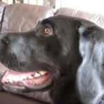 Profile Picture of Peter Wheeler (@peter.wheeler.188) on Instagram