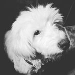 Profile Picture of Summer Alfonso (@summeralfonsodiaz) on Instagram