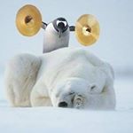 Profile Picture of Terry Graybeal (@terrytalltale) on Instagram