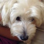 Profile Picture of MICKEY (@mickey_cartwright) on Instagram