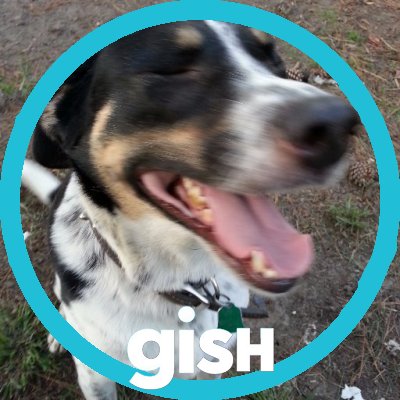 Profile Picture of Lora Franks (@LoraFranks11) on Twitter