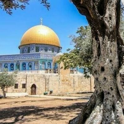 Profile Picture of Khalid AlAli (@KhalidA62677002) on Twitter