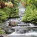 Profile Picture of Doua Chee Vang (@yimzoochang) on Pinterest