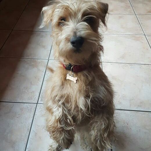 Profile Picture of Timothy de vries (@tamatie24) on Tiktok