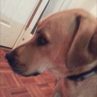 Profile Picture of Nickole Winterkorn (@nickole-winterkorn) on Quora