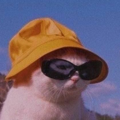 Profile Picture of carly heller (@carlyheller) on Tiktok