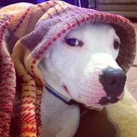 Profile Picture of Chris Dowdy (@chris-dowdy-3) on Quora